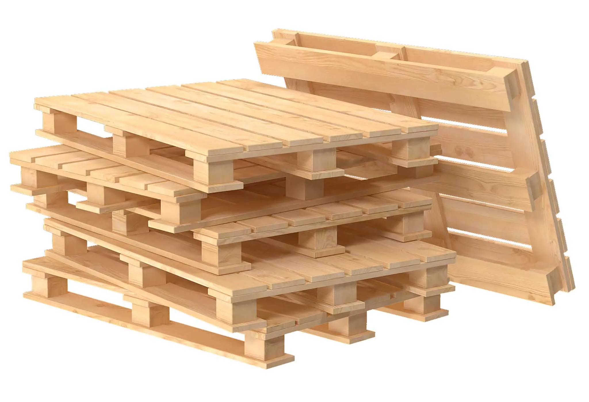 Özel Ebat Palateler